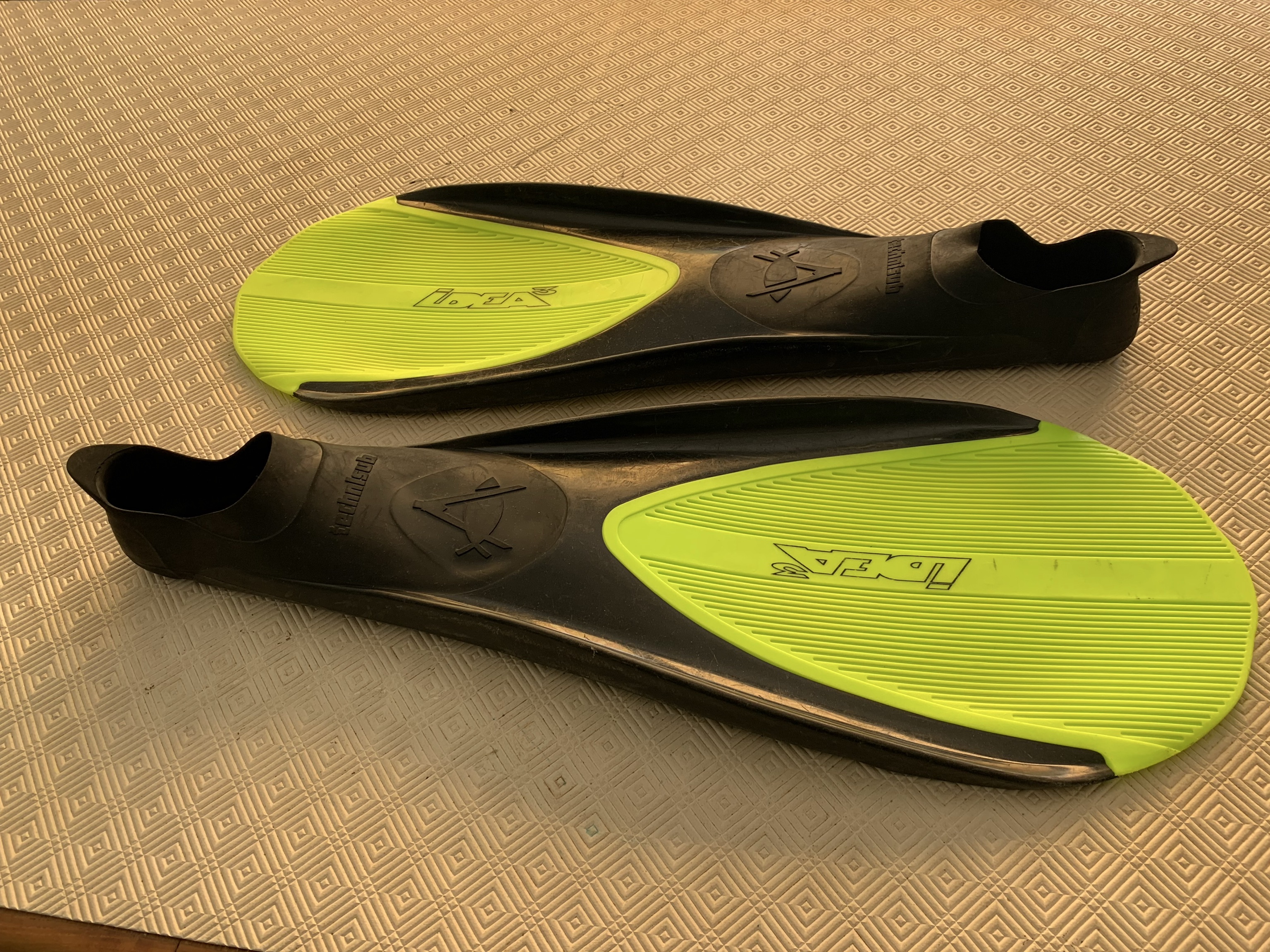 Palmes vue d'en haut